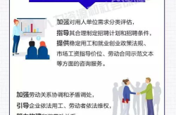 人力资源社会保障,政策、实践与未来展望”