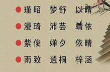 陈奕硕名字含义解释及寓意大全,寓意尊贵与才华，彰显光明与硕果