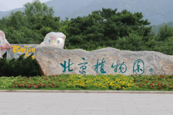 北京植物园,自然奇观与人文景观的绿色宝库