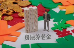 房屋养老金引发热议,破解老旧小区难题，构建全生命周期房屋安全新机制