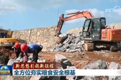 奋力夯实粮食安全根基,共筑强国复兴基石”