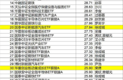 基金519300,投资亮点与风险分析”