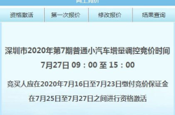深圳小汽车牌竞价,解析最新竞价结果与市场动态”